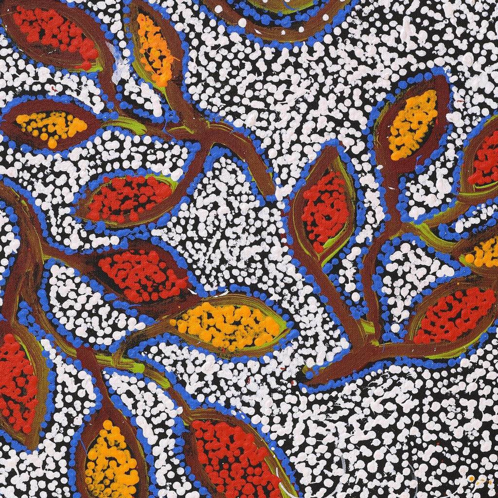 Aboriginal Artwork by Juliette Nampijinpa Brown, Ngapa Jukurrpa (Water Dreaming) - Mikanji, 76x46cm