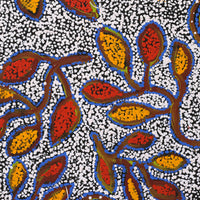 Aboriginal Artwork by Juliette Nampijinpa Brown, Ngapa Jukurrpa (Water Dreaming) - Mikanji, 76x46cm
