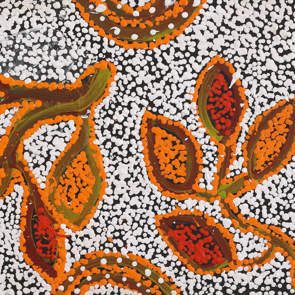 Aboriginal Artwork by Juliette Nampijinpa Brown, Ngapa Jukurrpa (Water Dreaming) - Mikanji, 91x30cm