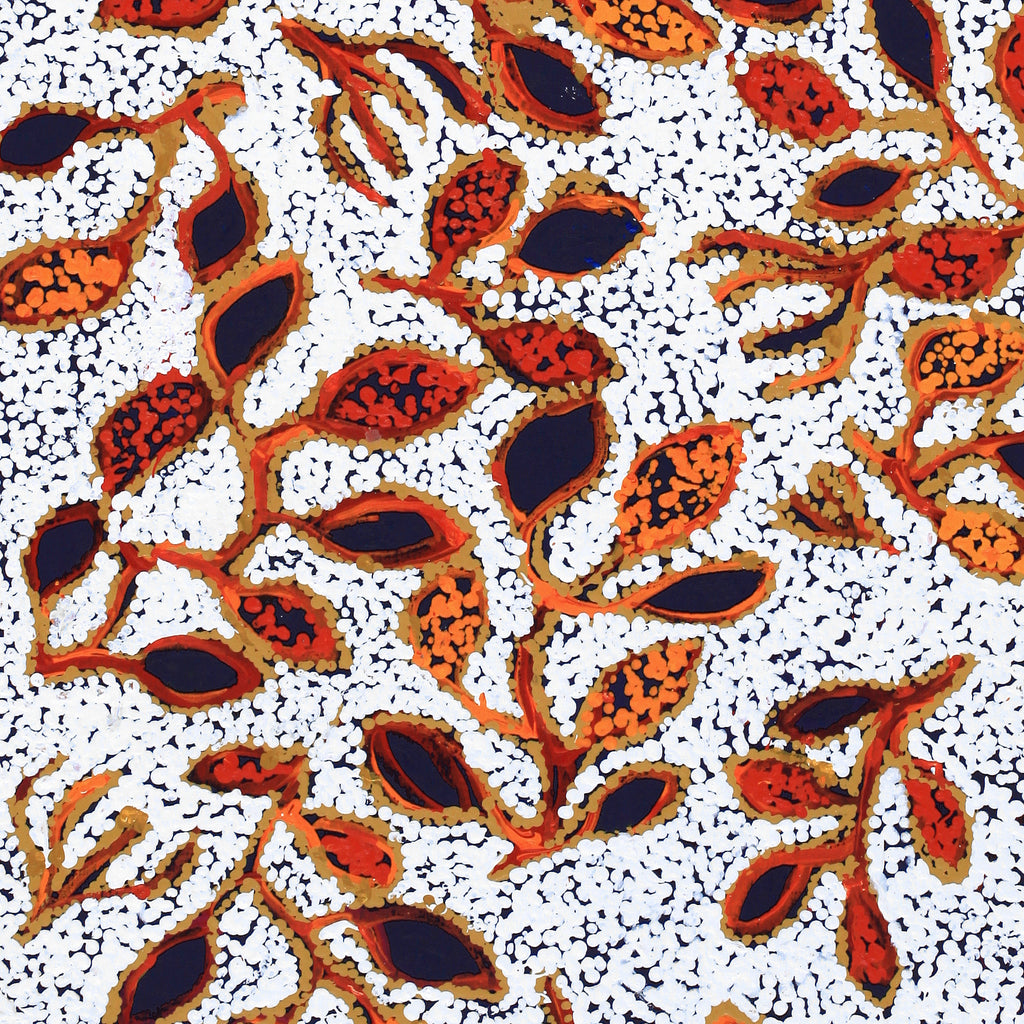 Aboriginal Artwork by Juliette Nampijinpa Brown, Ngapa Jukurrpa (Water Dreaming) - Mikanji, 91x46cm