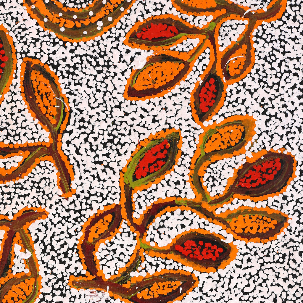 Aboriginal Artwork by Juliette Nampijinpa Brown, Ngapa Jukurrpa (Water Dreaming) - Mikanji, 91x61cm
