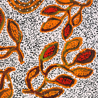 Aboriginal Artwork by Juliette Nampijinpa Brown, Ngapa Jukurrpa (Water Dreaming) - Mikanji, 91x61cm