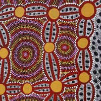 Aboriginal Artwork by Juliette Nakamarra Morris, Wanakiji Jukurrpa (Bush Tomato Dreaming), 91x61cm