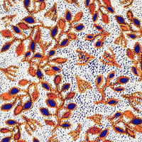 Aboriginal Artwork by Juliette Nampijinpa Brown, Ngapa Jukurrpa (Water Dreaming) - Mikanji, 107x46cm