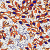 Aboriginal Artwork by Juliette Nampijinpa Brown, Ngapa Jukurrpa (Water Dreaming) - Mikanji, 107x46cm