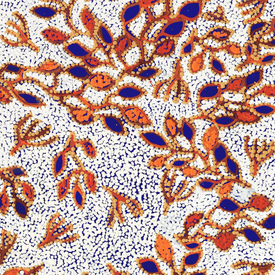 Aboriginal Artwork by Juliette Nampijinpa Brown, Ngapa Jukurrpa (Water Dreaming) - Mikanji, 107x46cm