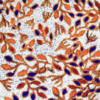 Aboriginal Artwork by Juliette Nampijinpa Brown, Ngapa Jukurrpa (Water Dreaming) - Mikanji, 107x46cm