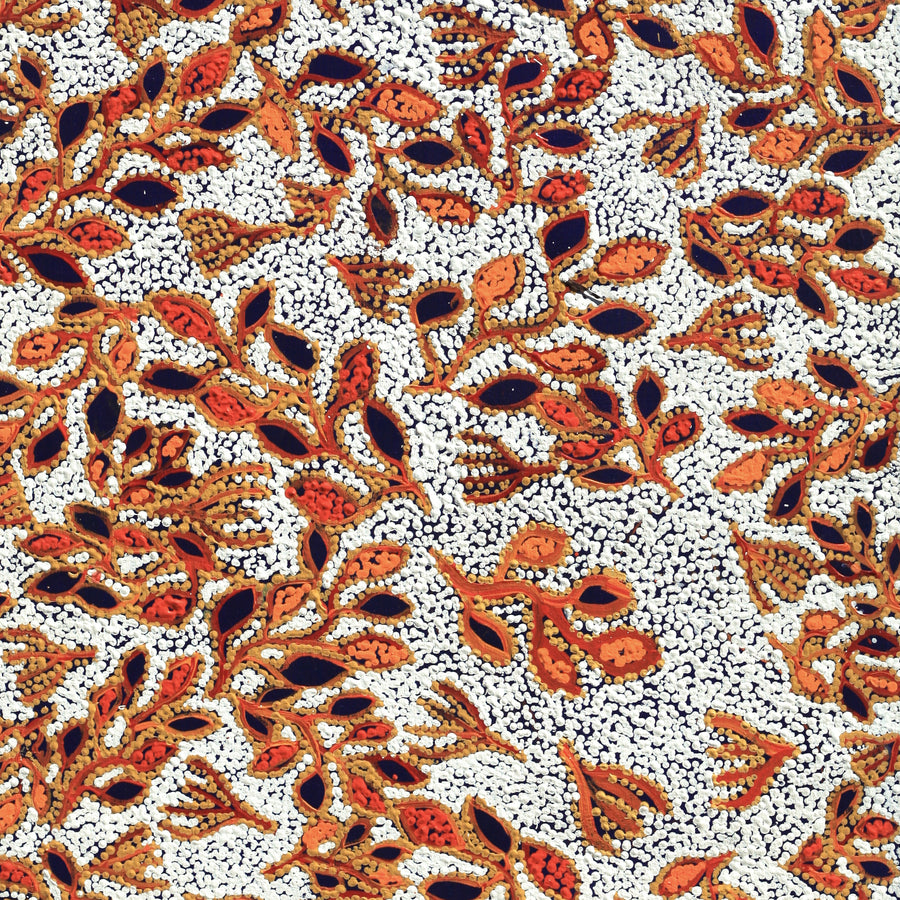 Aboriginal Artwork by Juliette Nampijinpa Brown, Ngapa Jukurrpa (Water Dreaming) - Mikanji, 107x61cm