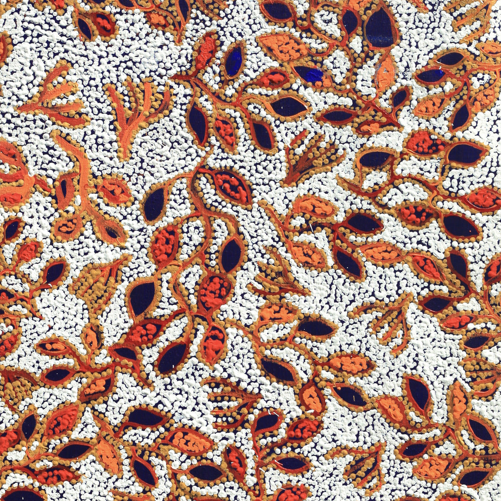 Aboriginal Artwork by Juliette Nampijinpa Brown, Ngapa Jukurrpa (Water Dreaming) - Mikanji, 107x61cm