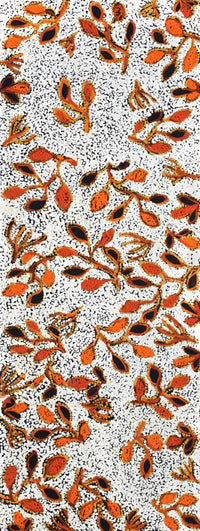 Aboriginal Artwork by Juliette Nampijinpa Brown, Ngapa Jukurrpa (Water Dreaming) - Mikanji, 122x46cm