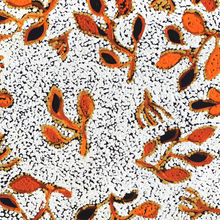 Aboriginal Artwork by Juliette Nampijinpa Brown, Ngapa Jukurrpa (Water Dreaming) - Mikanji, 122x46cm
