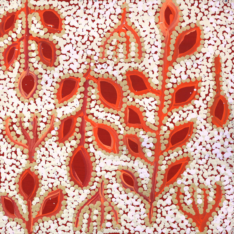 Aboriginal Artwork by Juliette Nampijinpa Brown, Ngapa Jukurrpa (Water Dreaming) - Mikanji, 30x30cm