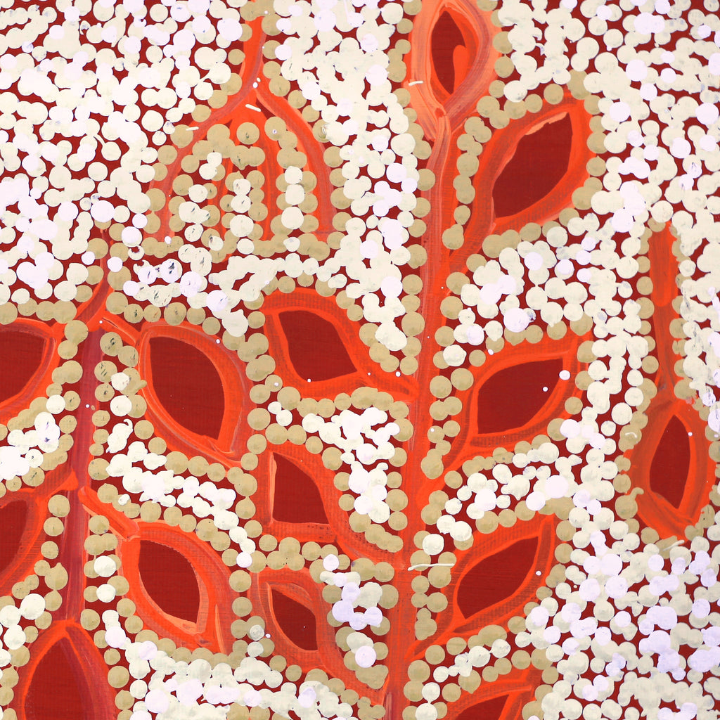 Aboriginal Artwork by Juliette Nampijinpa Brown, Ngapa Jukurrpa (Water Dreaming) - Mikanji, 30x30cm