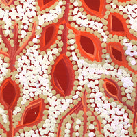 Aboriginal Artwork by Juliette Nampijinpa Brown, Ngapa Jukurrpa (Water Dreaming) - Mikanji, 30x30cm
