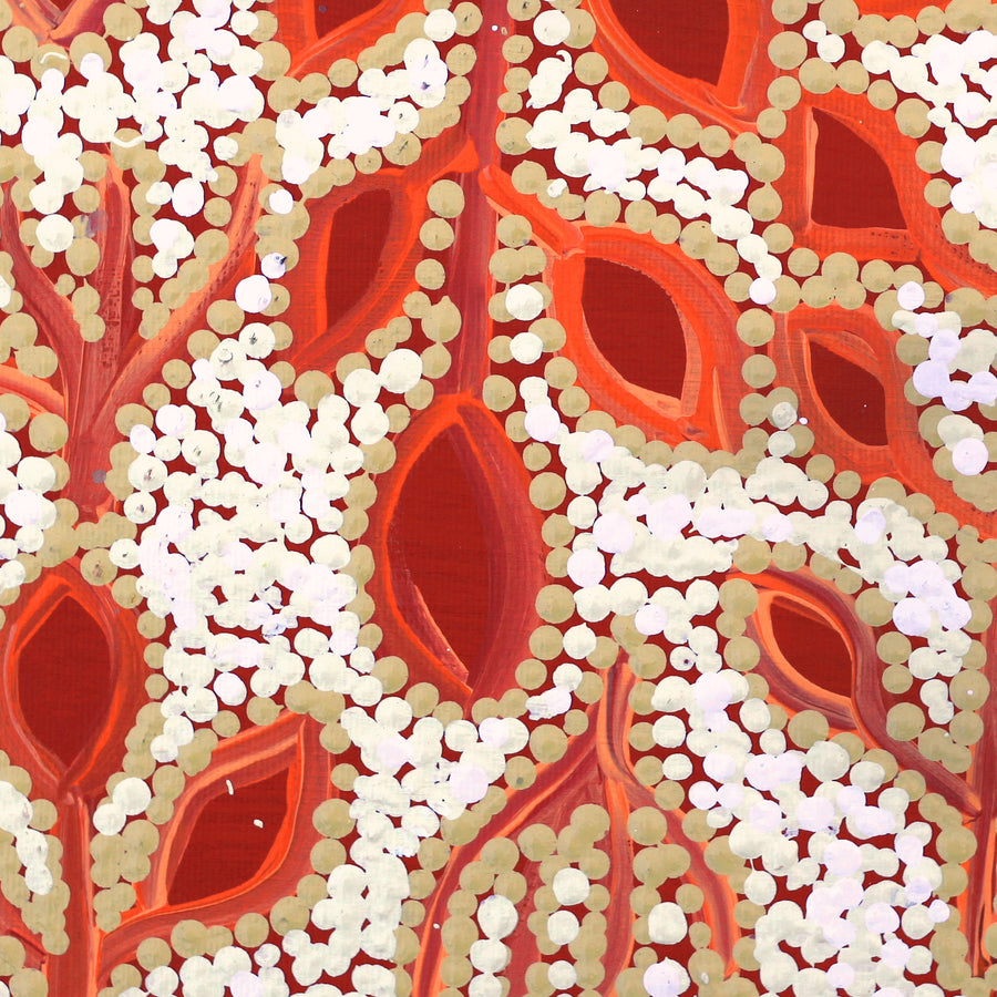 Aboriginal Artwork by Juliette Nampijinpa Brown, Ngapa Jukurrpa (Water Dreaming) - Mikanji, 30x30cm