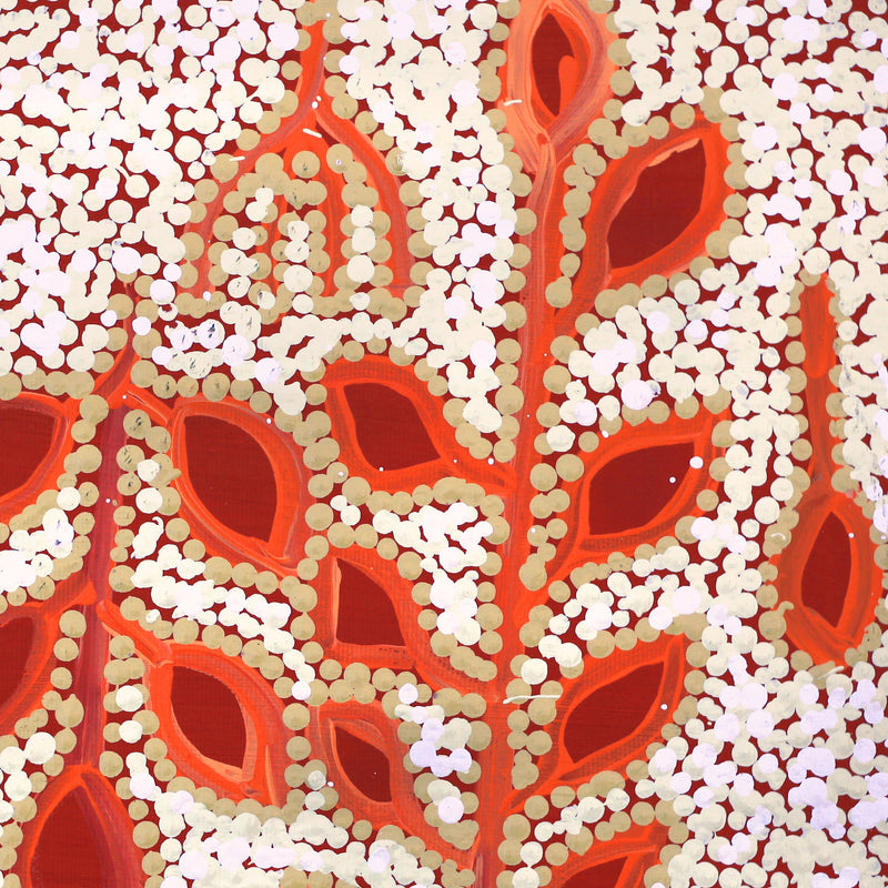 Aboriginal Artwork by Juliette Nampijinpa Brown, Ngapa Jukurrpa (Water Dreaming) - Mikanji, 30x30cm