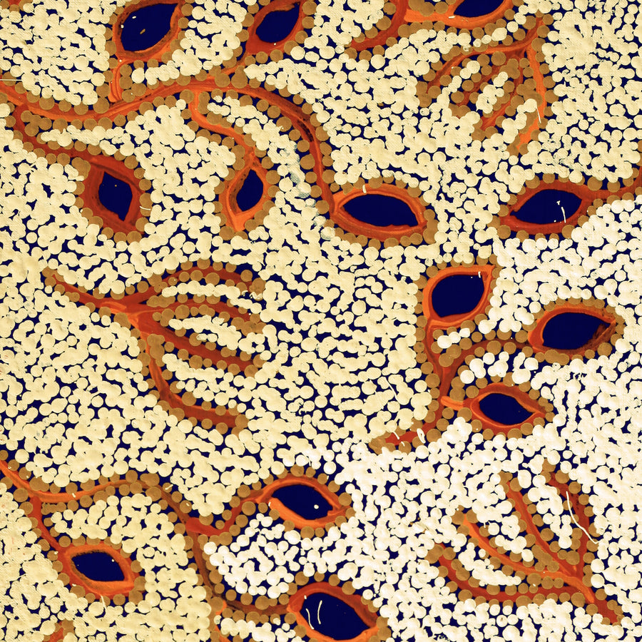 Aboriginal Artwork by Juliette Nampijinpa Brown, Ngapa Jukurrpa (Water Dreaming) - Mikanji, 76x30cm