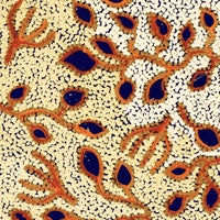 Aboriginal Artwork by Juliette Nampijinpa Brown, Ngapa Jukurrpa (Water Dreaming) - Mikanji, 76x30cm
