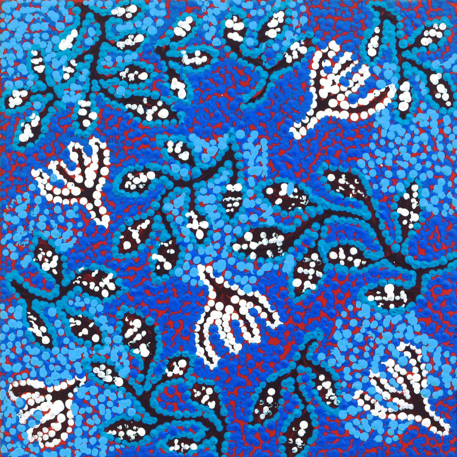 Aboriginal Artwork by Juliette Nampijinpa Brown, Ngapa Jukurrpa (Water Dreaming) - Mikanji, 30x30cm