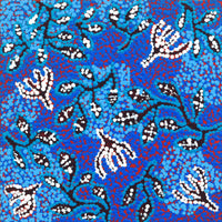 Aboriginal Art by Juliette Nampijinpa Brown, Ngapa Jukurrpa (Water Dreaming) - Mikanji, 30x30cm - ART ARK®