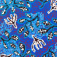 Aboriginal Artwork by Juliette Nampijinpa Brown, Ngapa Jukurrpa (Water Dreaming) - Mikanji, 30x30cm
