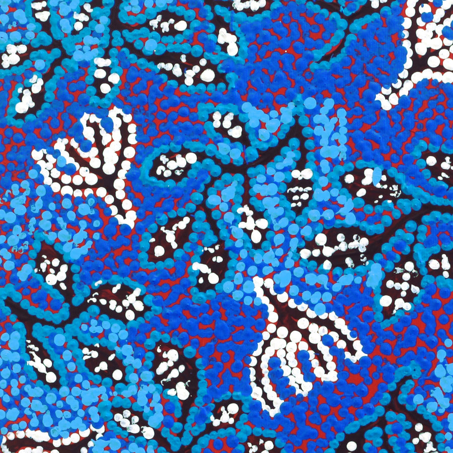 Aboriginal Artwork by Juliette Nampijinpa Brown, Ngapa Jukurrpa (Water Dreaming) - Mikanji, 30x30cm