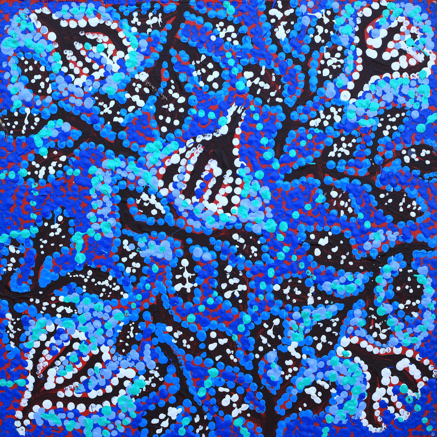 Aboriginal Artwork by Juliette Nampijinpa Brown, Ngapa Jukurrpa (Water Dreaming) - Mikanji, 30x30cm