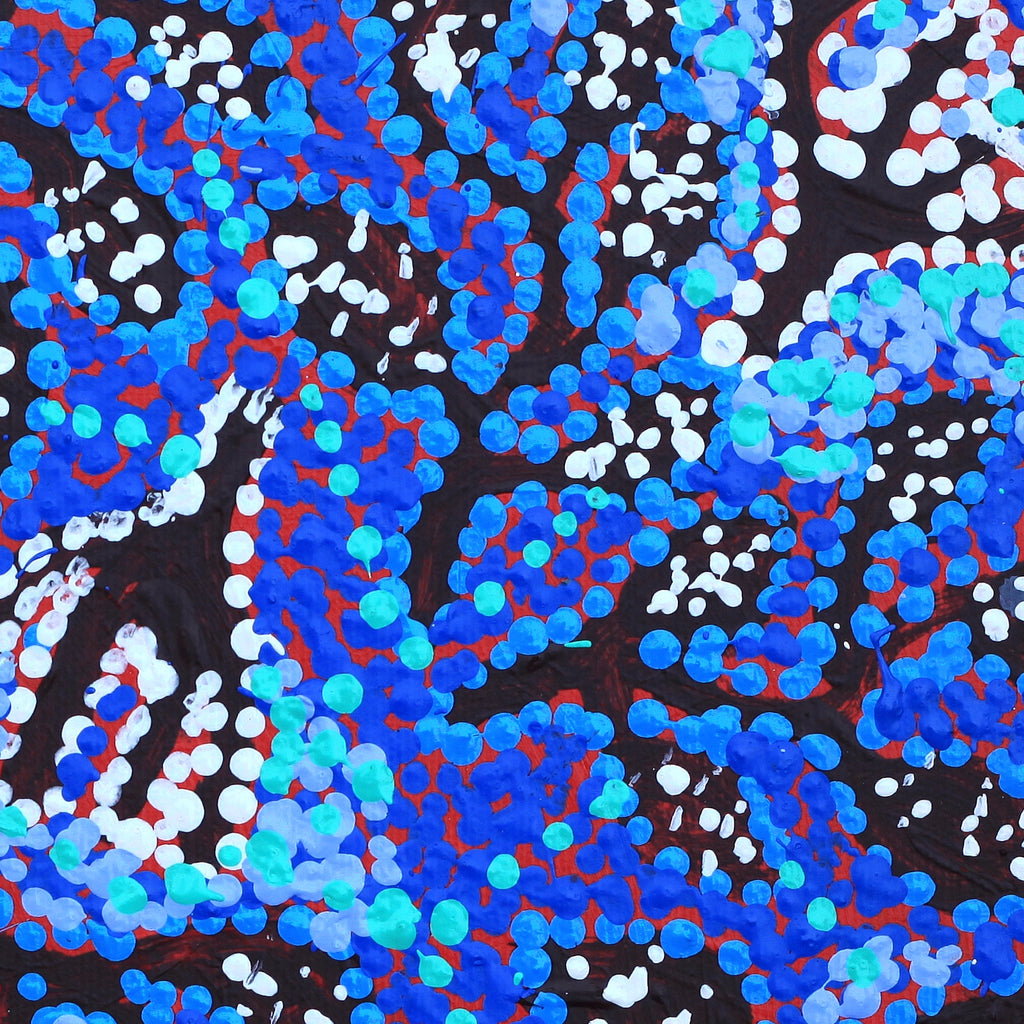 Aboriginal Artwork by Juliette Nampijinpa Brown, Ngapa Jukurrpa (Water Dreaming) - Mikanji, 30x30cm