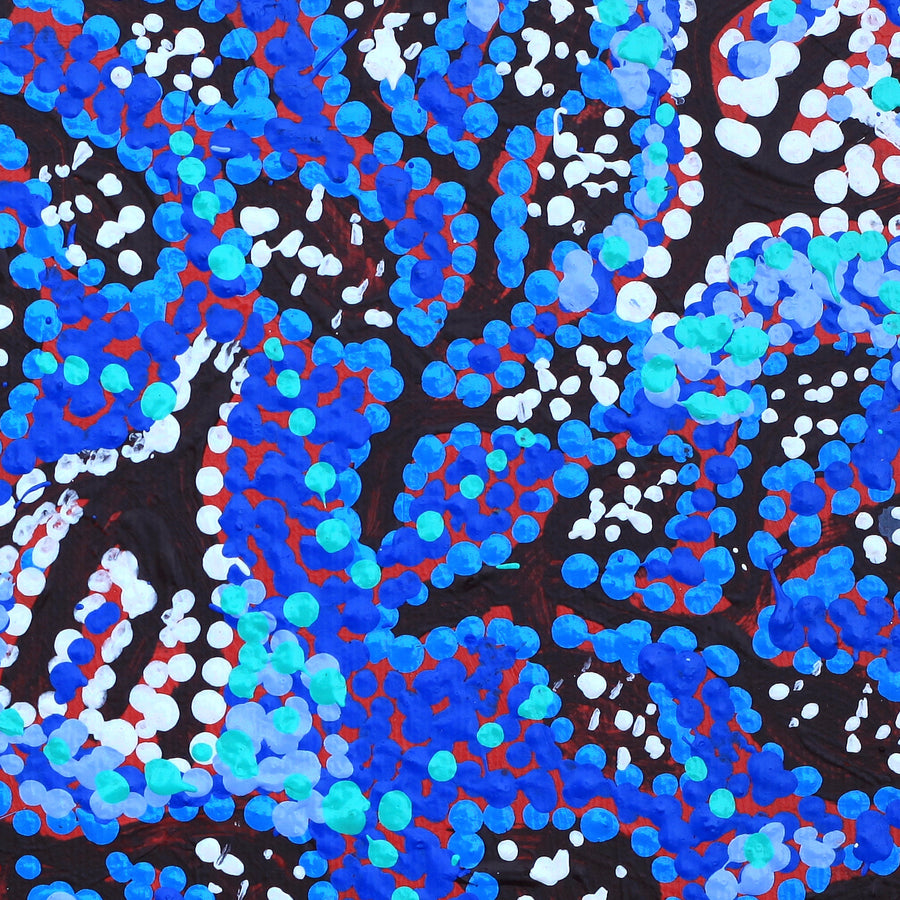 Aboriginal Artwork by Juliette Nampijinpa Brown, Ngapa Jukurrpa (Water Dreaming) - Mikanji, 30x30cm