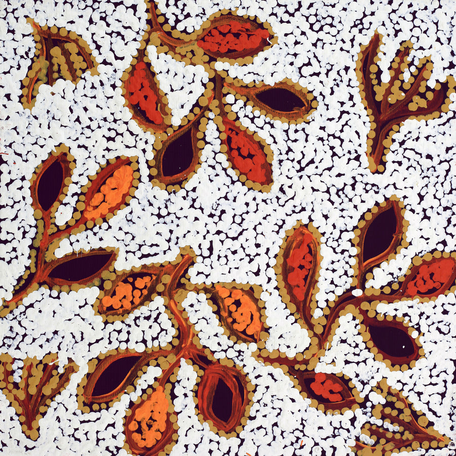 Aboriginal Artwork by Juliette Nampijinpa Brown, Ngapa Jukurrpa (Water Dreaming) - Mikanji, 30x30cm