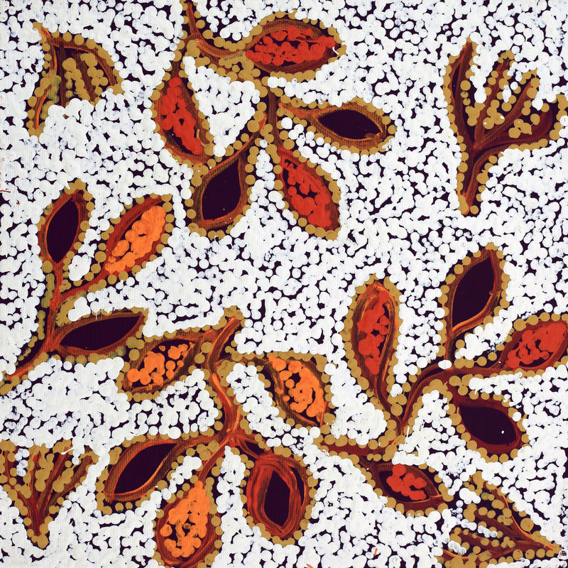 Aboriginal Artwork by Juliette Nampijinpa Brown, Ngapa Jukurrpa (Water Dreaming) - Mikanji, 30x30cm