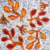 Aboriginal Artwork by Juliette Nampijinpa Brown, Ngapa Jukurrpa (Water Dreaming) - Mikanji, 30x30cm