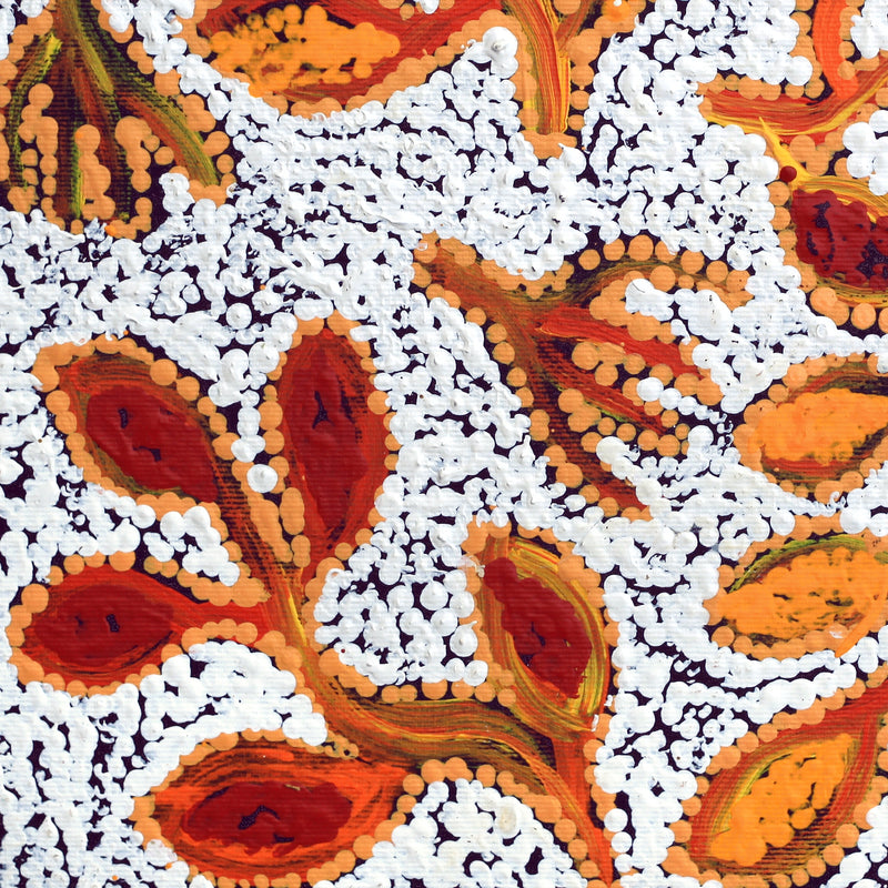 Aboriginal Artwork by Juliette Nampijinpa Brown, Ngapa Jukurrpa (Water Dreaming) - Mikanji, 30x30cm