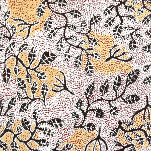 Aboriginal Artwork by Juliette Nampijinpa Brown, Ngapa Jukurrpa (Water Dreaming)  - Mikanji, 76x61cm - ART ARK®
