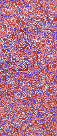 Aboriginal Artwork by Juliette Nampijinpa Brown, Ngapa Jukurrpa (Water Dreaming) - Mikanji, 107x46cm