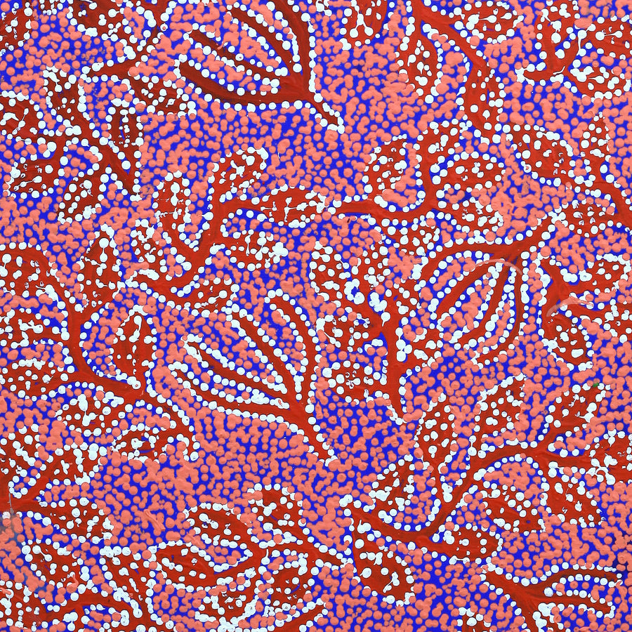 Aboriginal Artwork by Juliette Nampijinpa Brown, Ngapa Jukurrpa (Water Dreaming) - Mikanji, 107x46cm