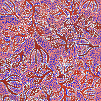 Aboriginal Artwork by Juliette Nampijinpa Brown, Ngapa Jukurrpa (Water Dreaming) - Mikanji, 107x46cm