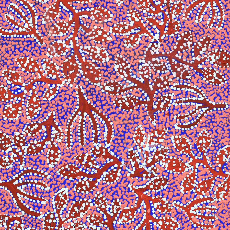 Aboriginal Artwork by Juliette Nampijinpa Brown, Ngapa Jukurrpa (Water Dreaming) - Mikanji, 107x46cm