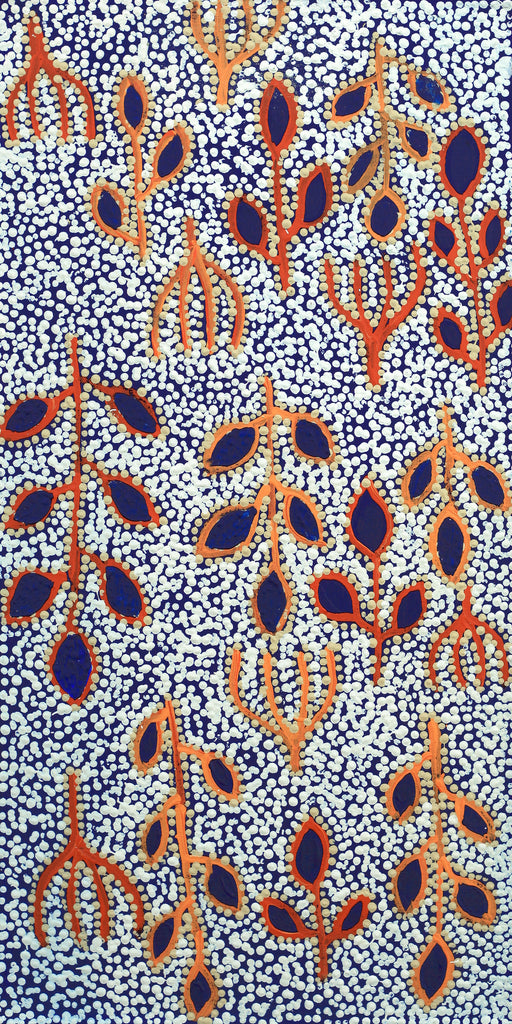 Aboriginal Artwork by Juliette Nampijinpa Brown, Ngapa Jukurrpa (Water Dreaming) - Mikanji, 61x30cm