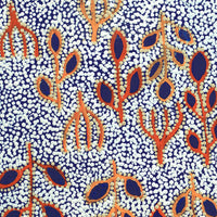 Aboriginal Artwork by Juliette Nampijinpa Brown, Ngapa Jukurrpa (Water Dreaming) - Mikanji, 61x30cm