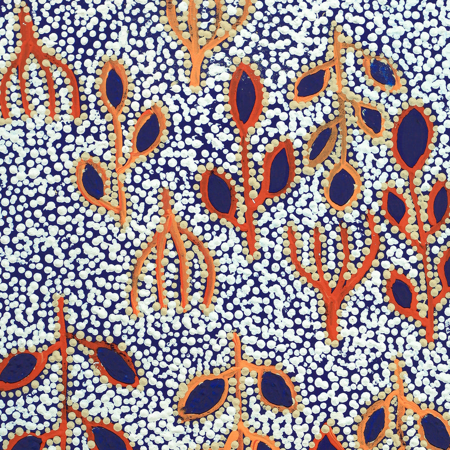 Aboriginal Artwork by Juliette Nampijinpa Brown, Ngapa Jukurrpa (Water Dreaming) - Mikanji, 61x30cm