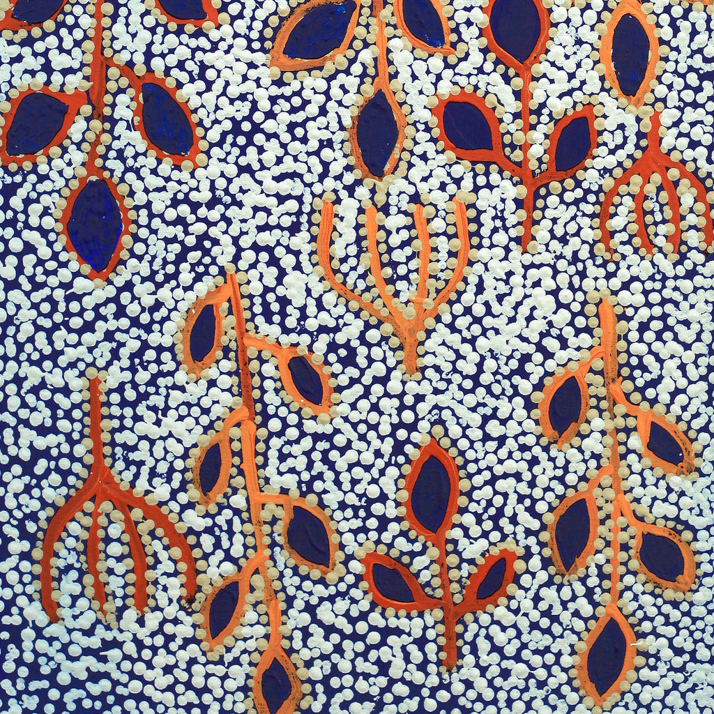 Aboriginal Artwork by Juliette Nampijinpa Brown, Ngapa Jukurrpa (Water Dreaming) - Mikanji, 61x30cm