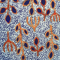 Aboriginal Artwork by Juliette Nampijinpa Brown, Ngapa Jukurrpa (Water Dreaming) - Mikanji, 61x30cm
