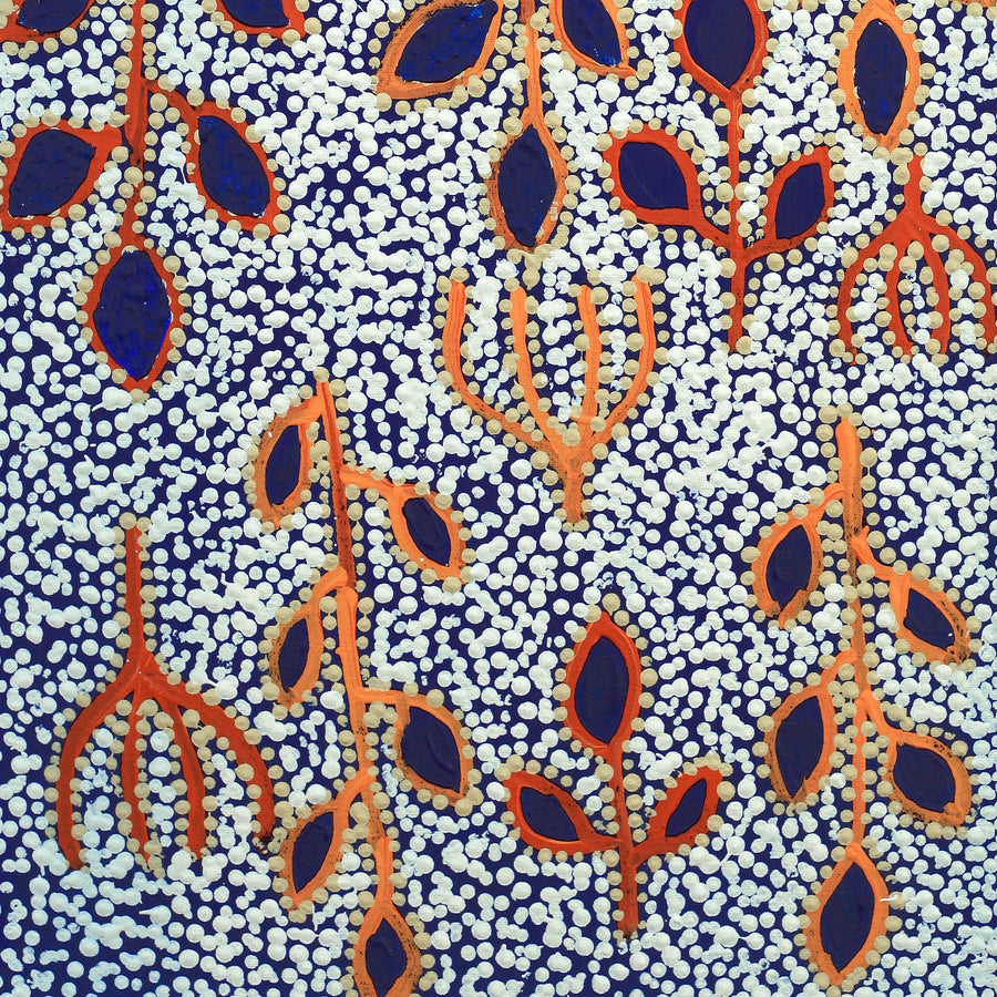 Aboriginal Artwork by Juliette Nampijinpa Brown, Ngapa Jukurrpa (Water Dreaming) - Mikanji, 61x30cm