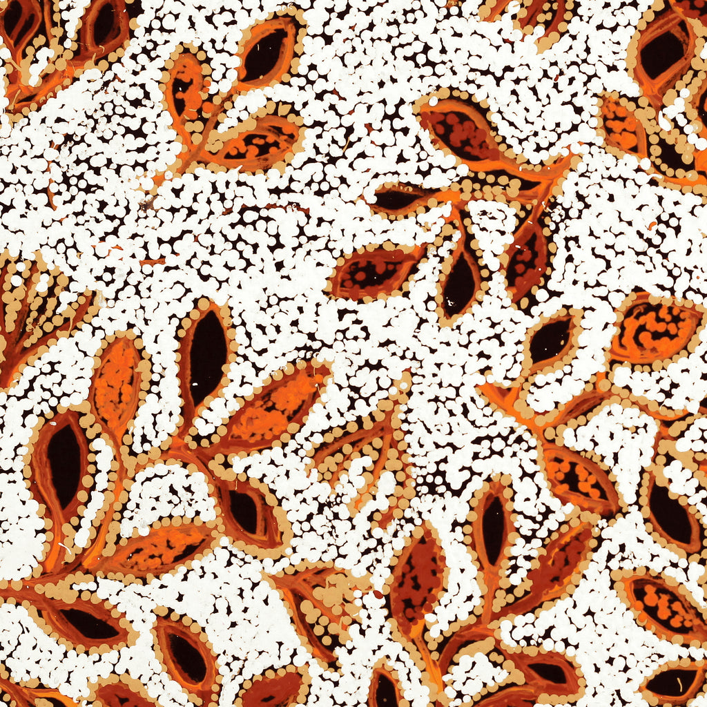 Aboriginal Artwork by Juliette Nampijinpa Brown, Ngapa Jukurrpa (Water Dreaming) - Mikanji, 61x61cm