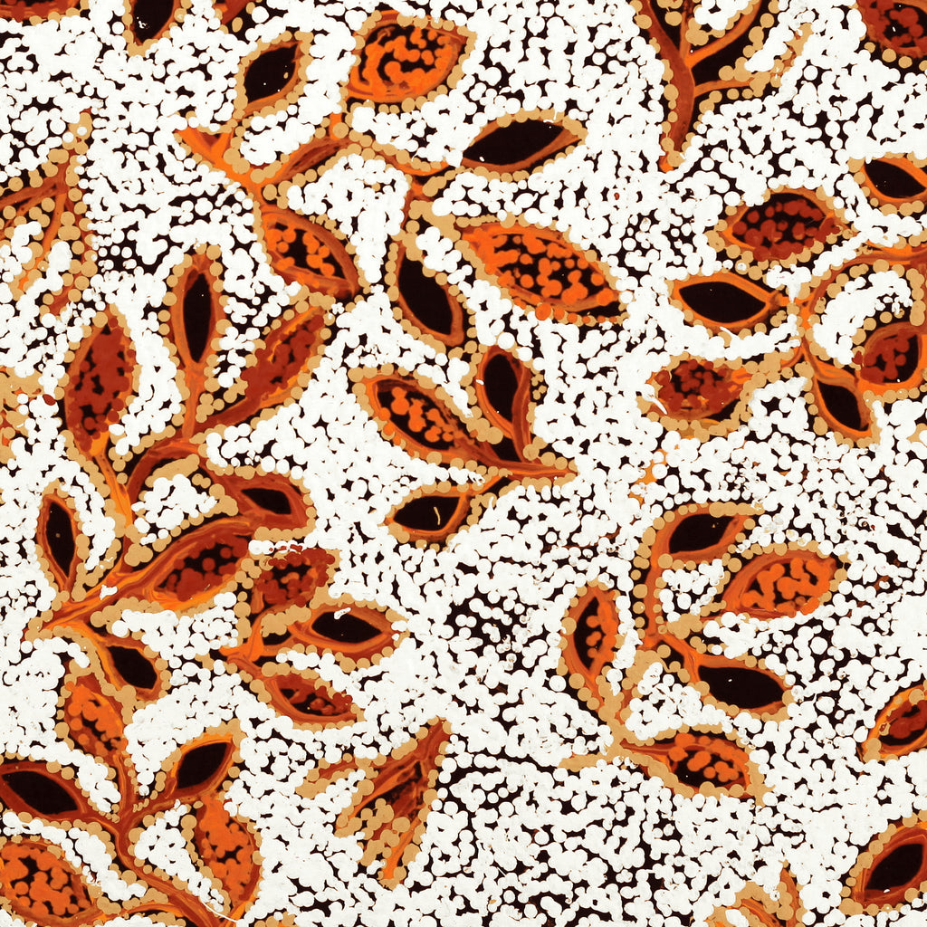 Aboriginal Artwork by Juliette Nampijinpa Brown, Ngapa Jukurrpa (Water Dreaming) - Mikanji, 61x61cm