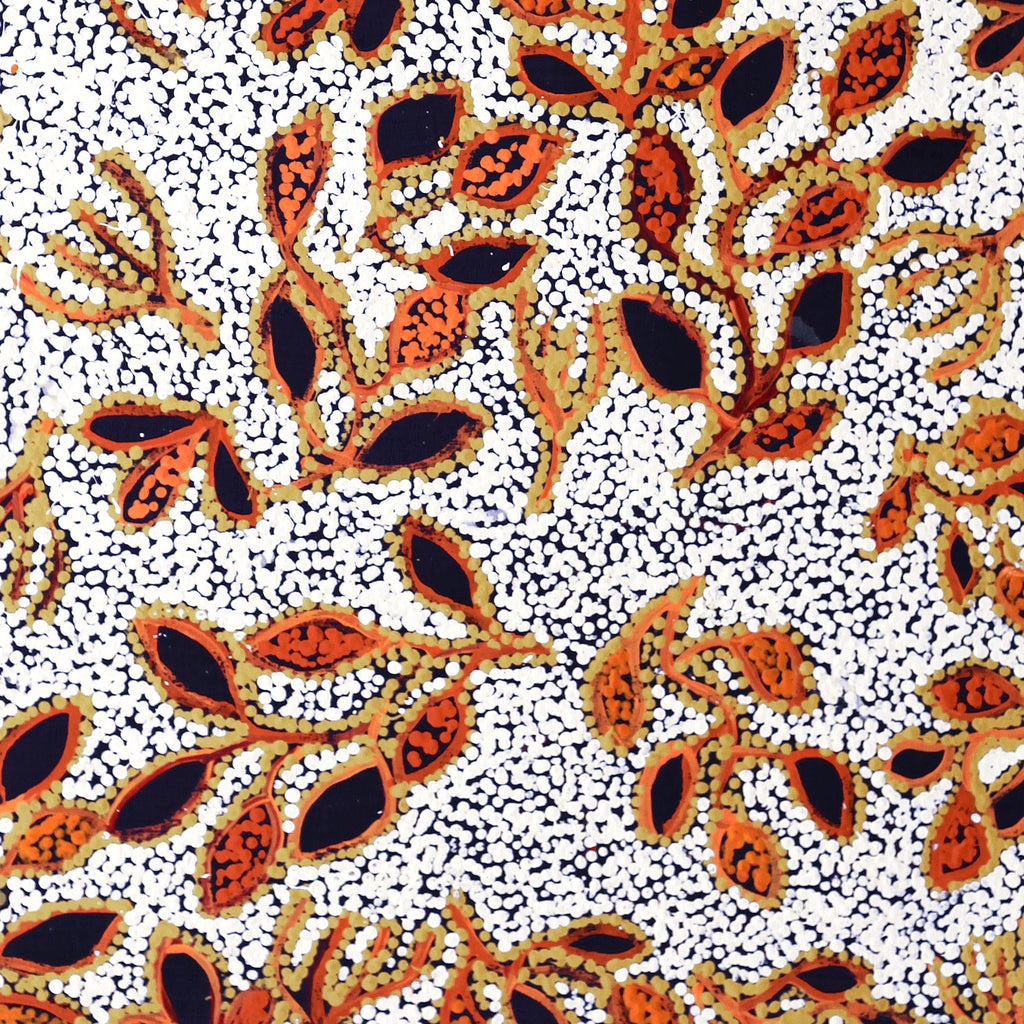 Aboriginal Artwork by Juliette Nampijinpa Brown, Ngapa Jukurrpa (Water Dreaming) - Mikanji, 76x61cm