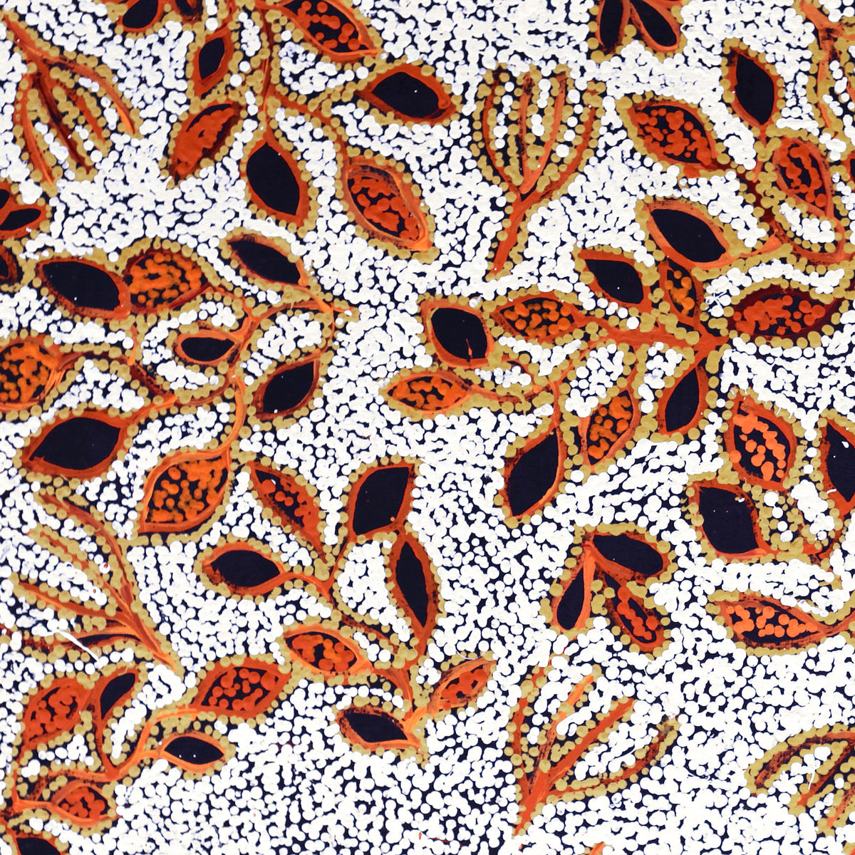 Aboriginal Artwork by Juliette Nampijinpa Brown, Ngapa Jukurrpa (Water Dreaming) - Mikanji, 76x61cm