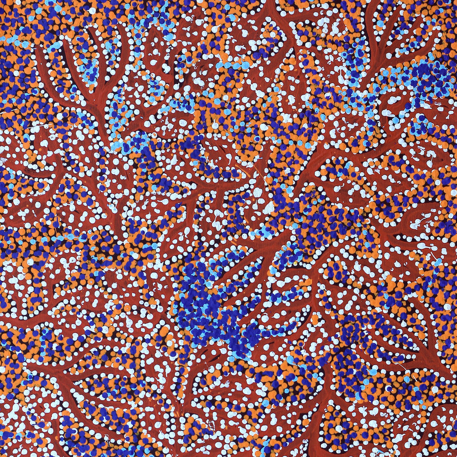 Aboriginal Artwork by Juliette Nampijinpa Brown, Ngapa Jukurrpa (Water Dreaming) - Mikanji, 91x46cm
