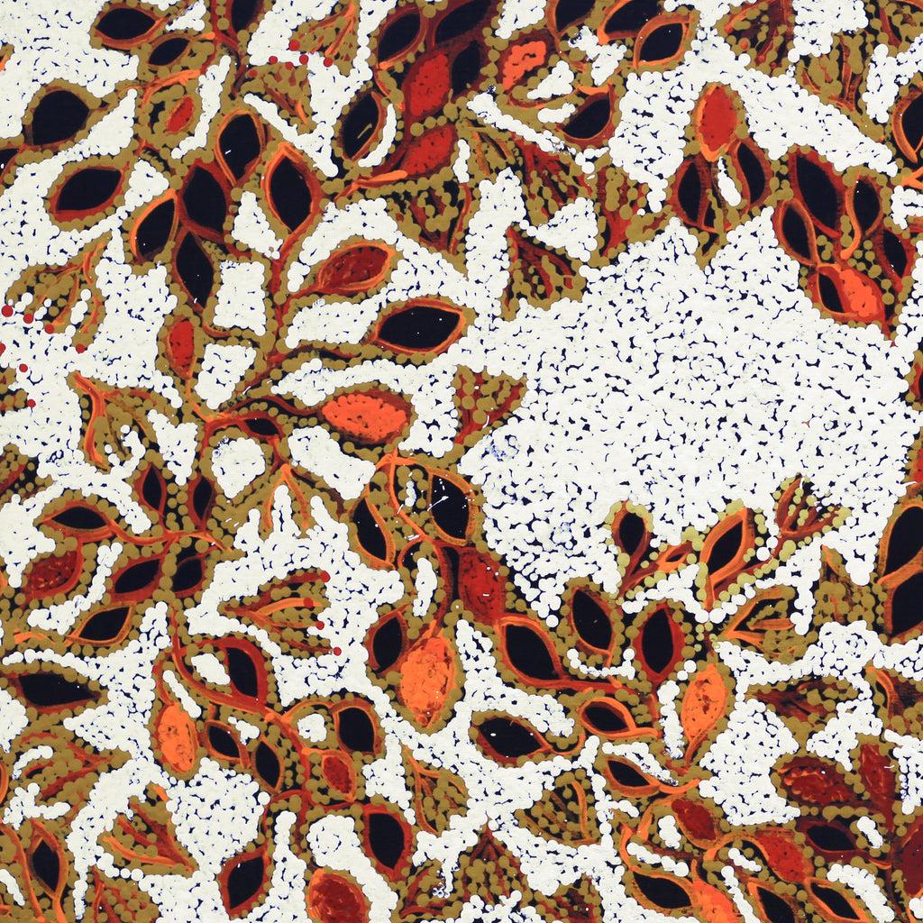 Aboriginal Artwork by Juliette Nampijinpa Brown, Ngapa Jukurrpa (Water Dreaming) - Mikanji, 91x46cm